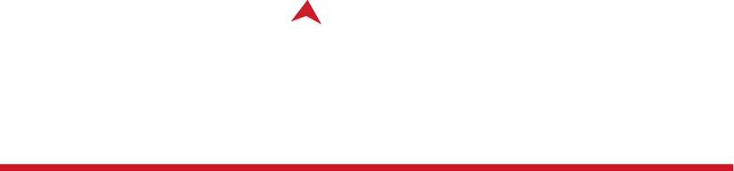 The LIG Group Logo